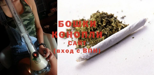 мет Арсеньев