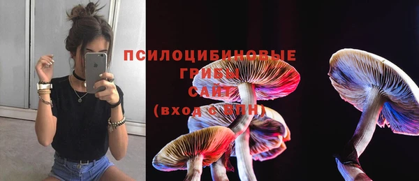 каннабис Армянск