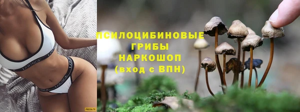 мет Арсеньев