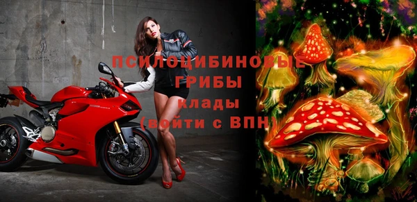 мет Арсеньев