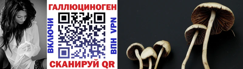 магазин продажи наркотиков  Можайск  мега как зайти  Галлюциногенные грибы мухоморы 